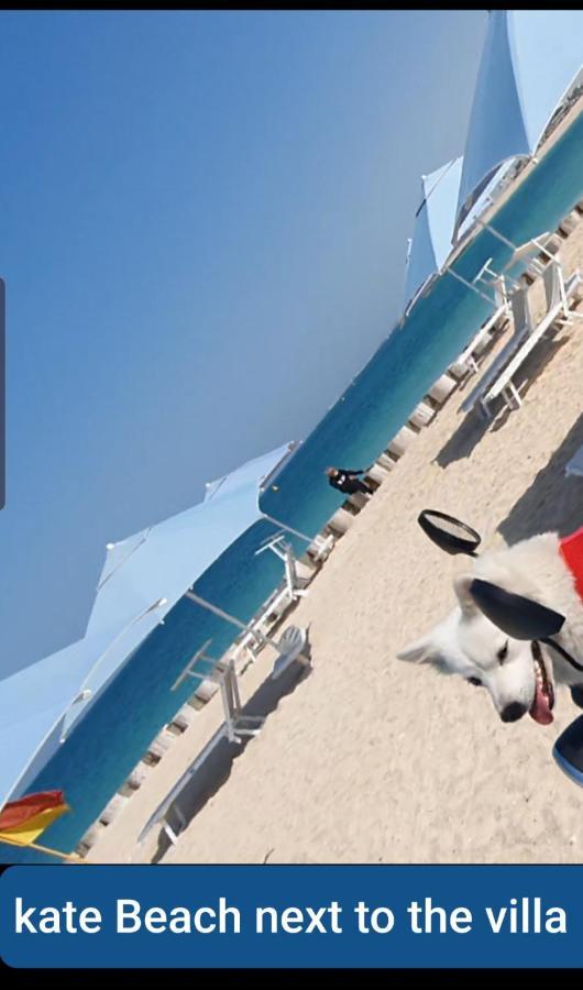 Jumeirah Beach Villa دبي المظهر الخارجي الصورة