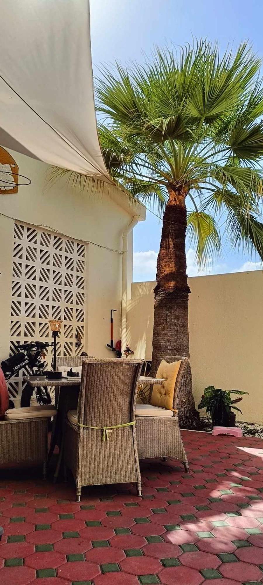 Jumeirah Beach Villa دبي المظهر الخارجي الصورة